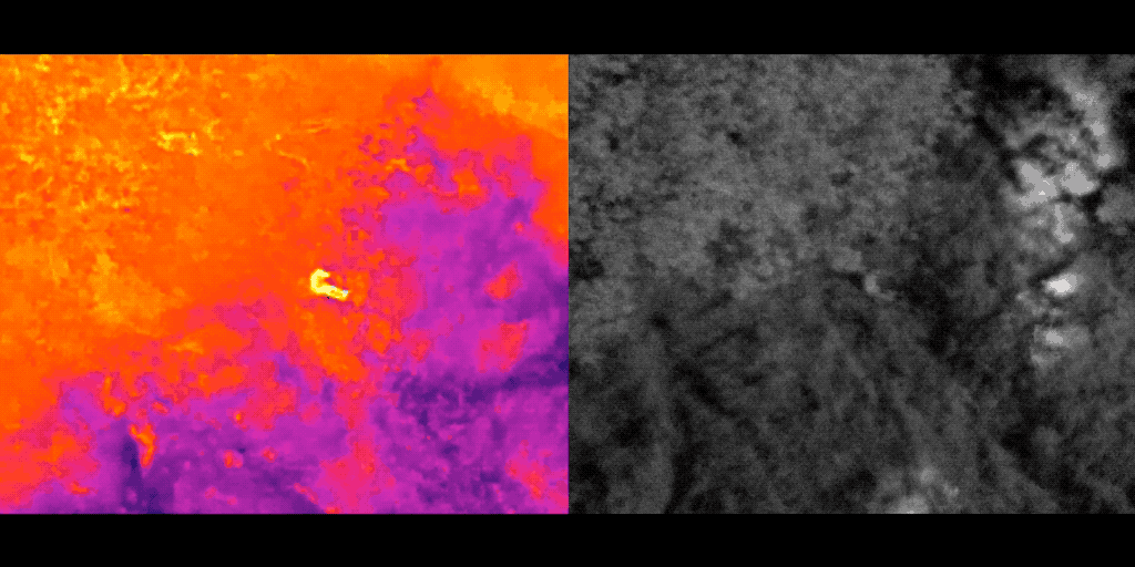 thermar camera dji matrice 300 h20n